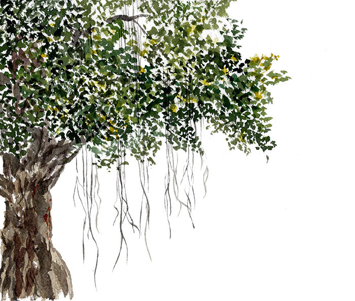 Purearth and Corporate Social Responsibilty