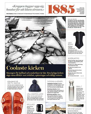 Dagens Industri, Sweden