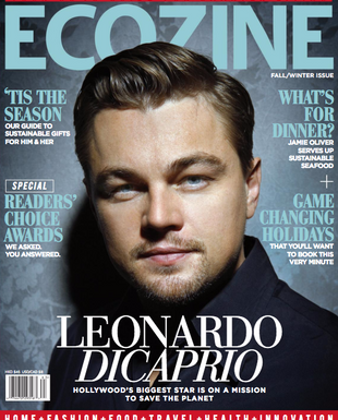 Ecozine